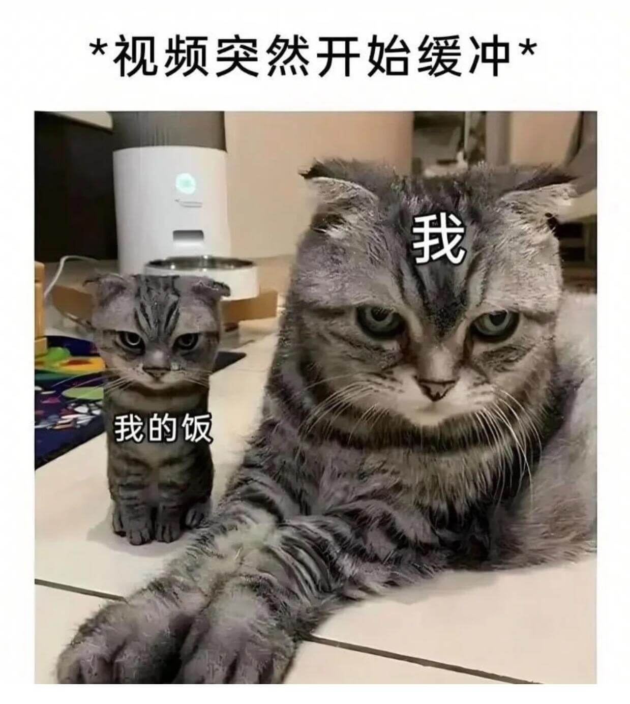 视频突然开始缓冲我的饭