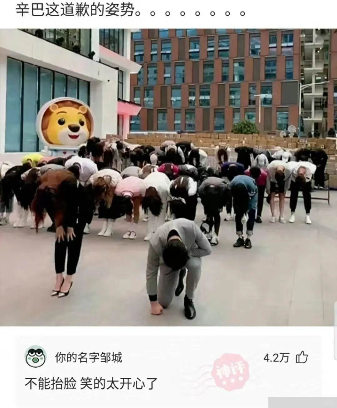 辛巴这道歉的姿势。。。。。。。。。。。。。。。。。。。。。。