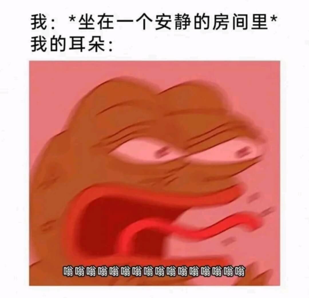 我:*坐在一个安静的房间里*我的耳朵:嗡嗡嗡嗡嗡嗡嗡嗡嗡嗡嗡