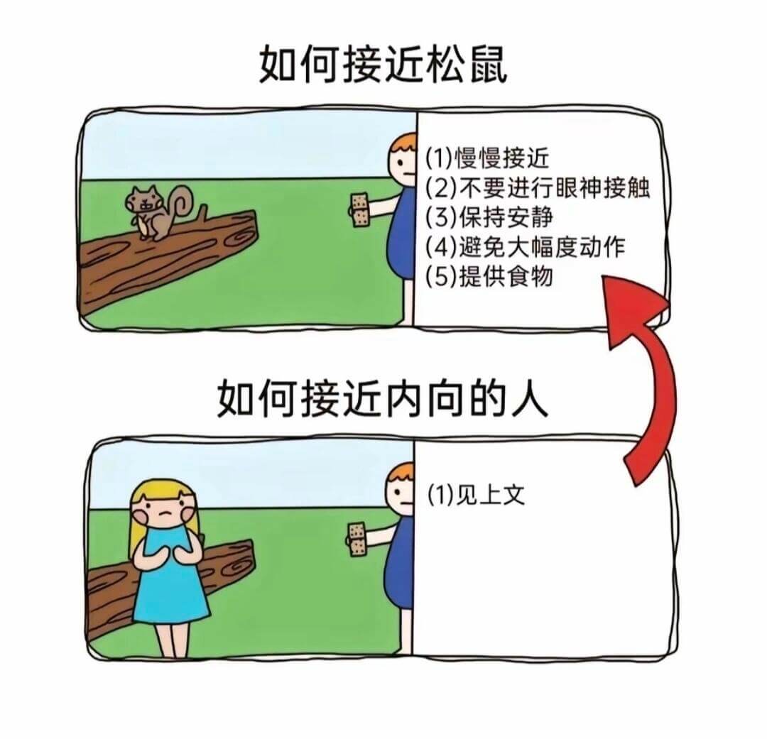 如何接近松鼠(1)慢慢接近(2)不要进行眼神接触(3)保持安