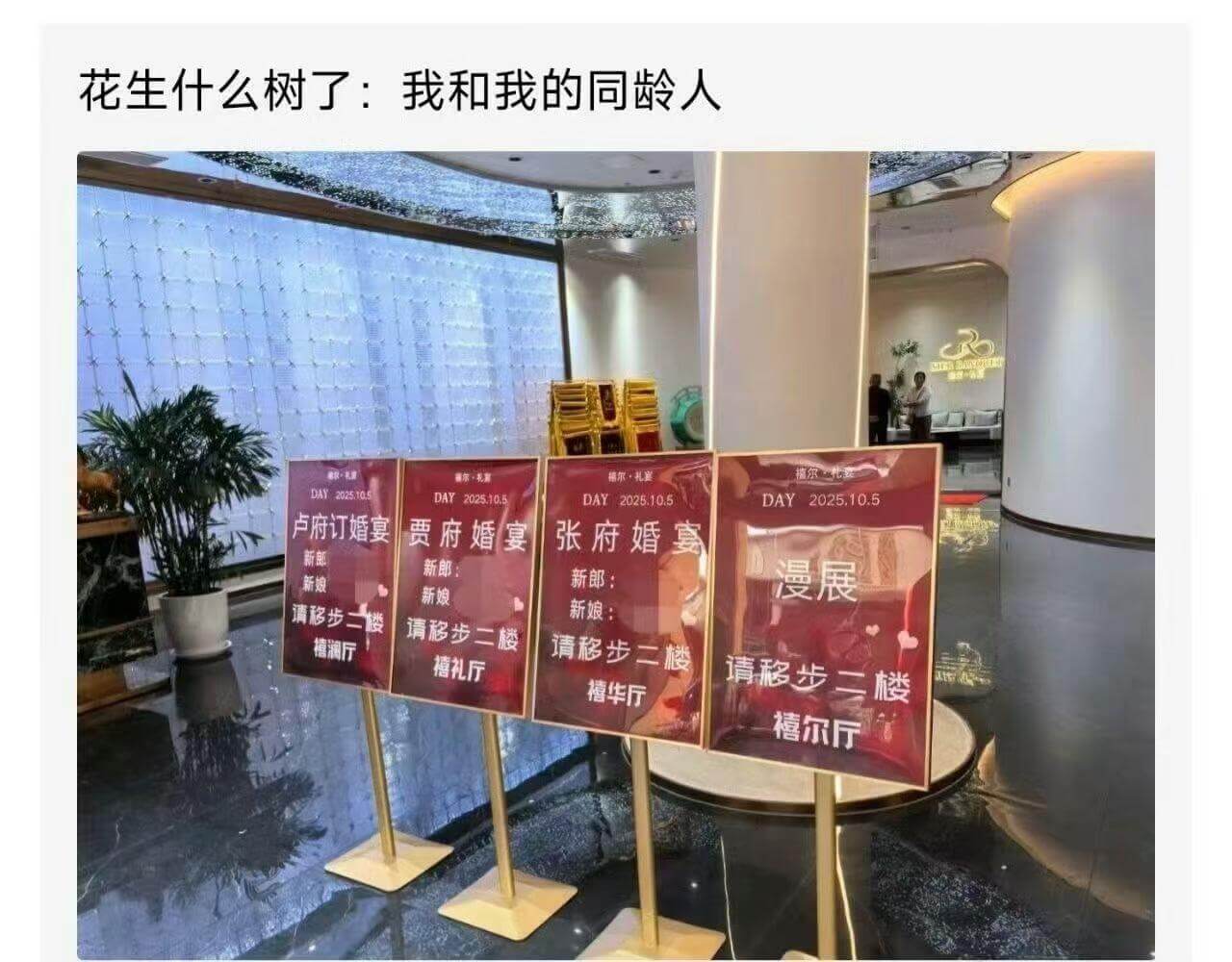 花生什么树了:我和我的同龄人福尔·礼宝DAY-2025.10