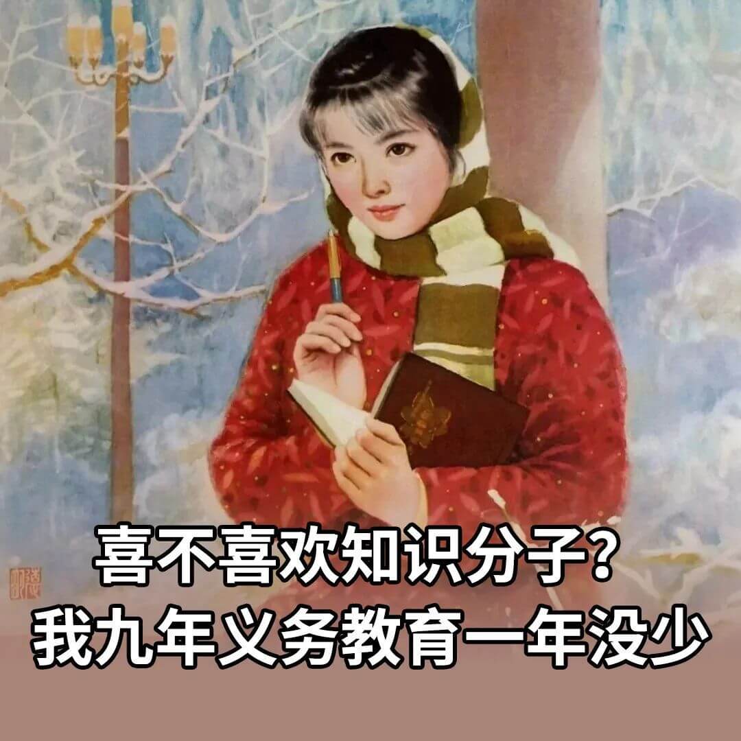 喜不喜欢知识分子？我九年义务教育一年没少