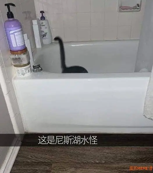 这是尼斯湖水怪垂狐MEME译