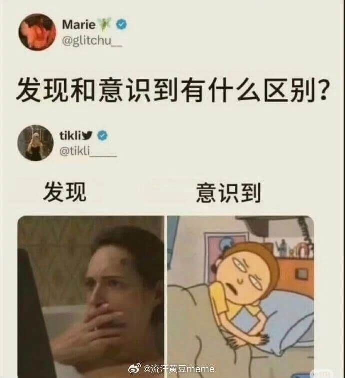 Marie@glitchu发现和意识到有什么区别？tikli