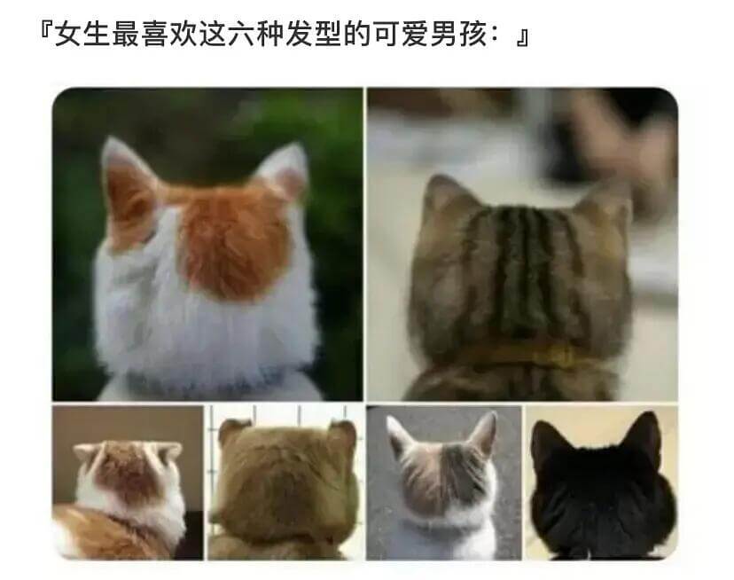 『女生最喜欢这六种发型的可爱男孩：』