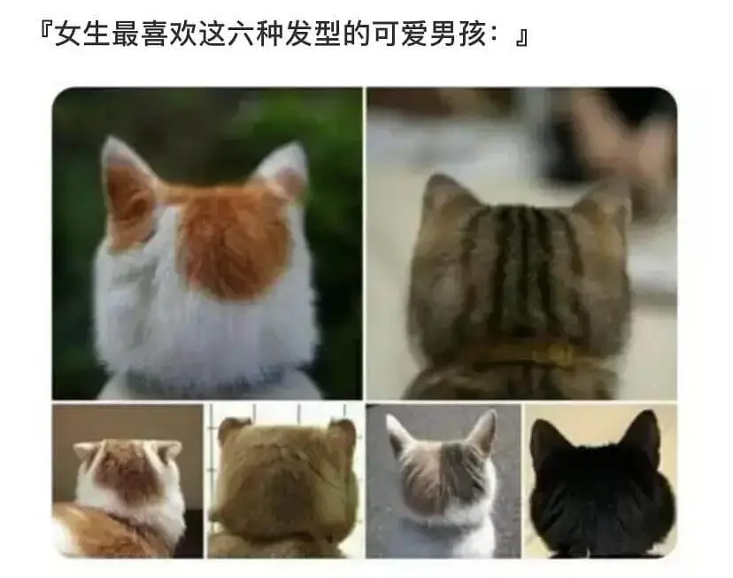 『女生最喜欢这六种发型的可爱男孩：』