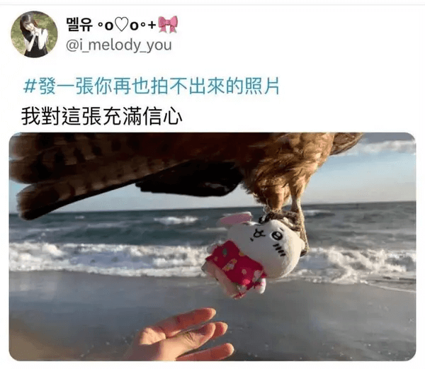 ·000·+@imelody.you發一張你再也拍不出來的照