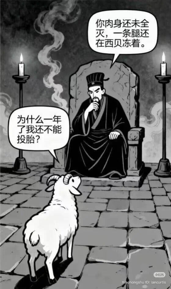 你肉身还未全灭，一条腿还在西贝冻着。为什么一年了我还不能投胎