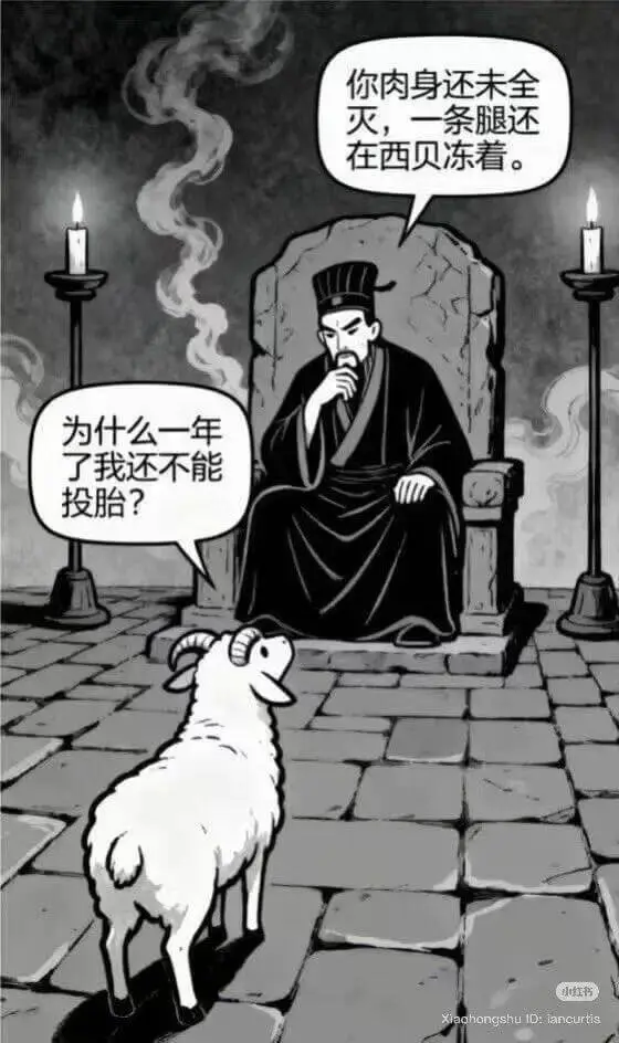 你肉身还未全灭，一条腿还在西贝冻着。为什么一年了我还不能投胎