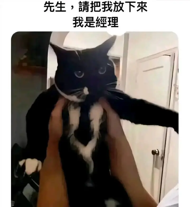 先生，請把我放下來我是經理