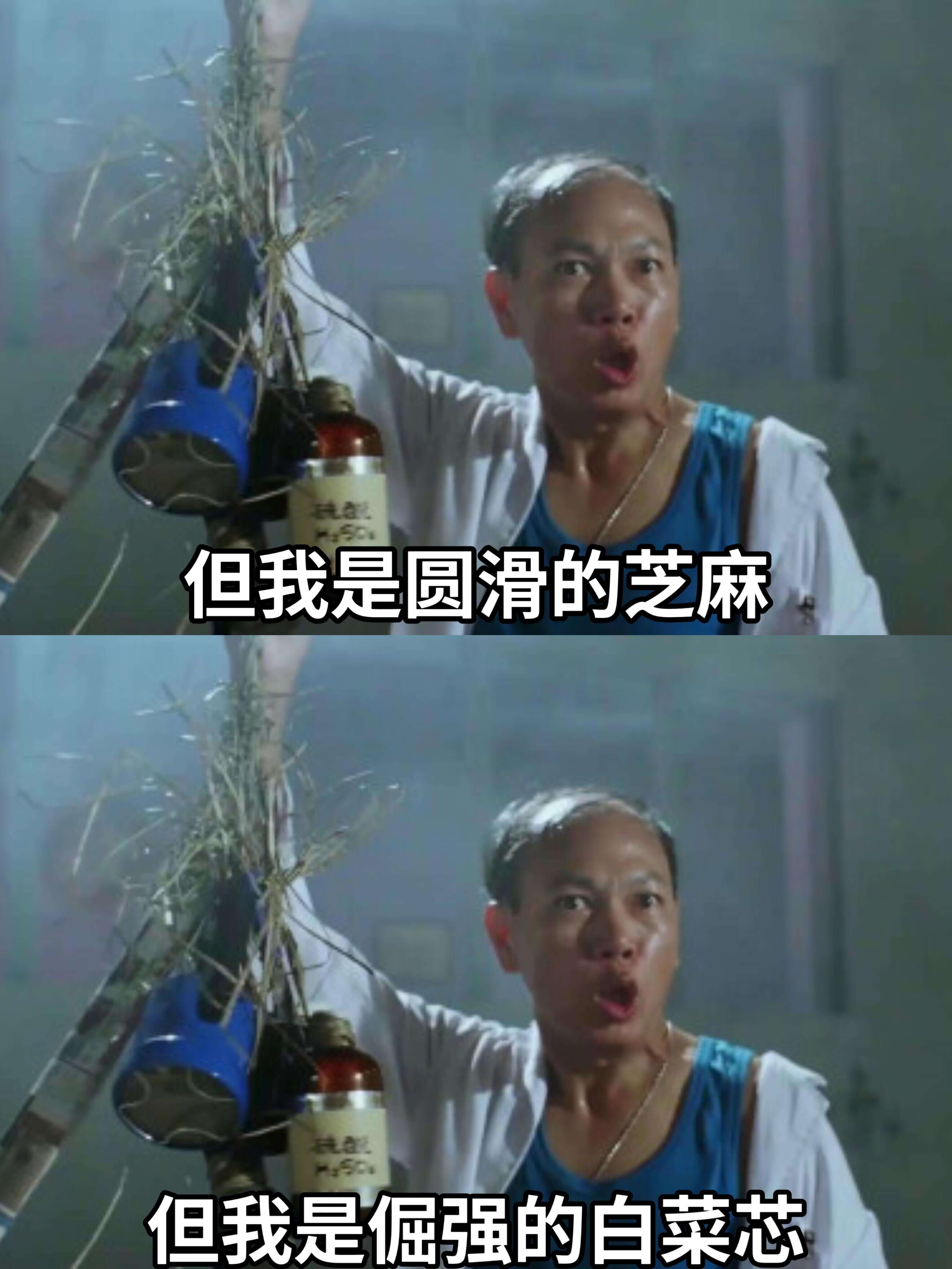 但我是圆滑的芝麻。但我是倔强的白菜芯。