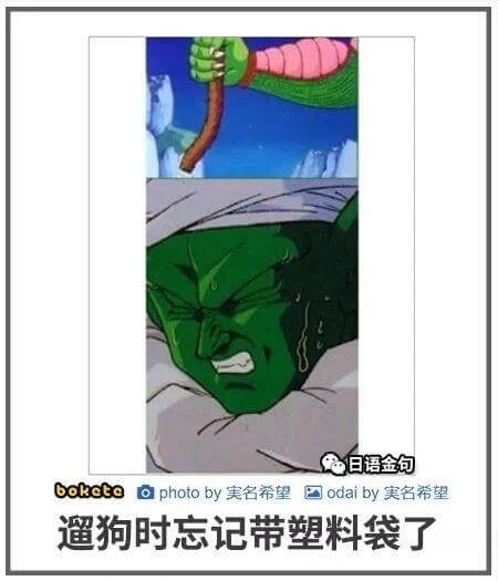 日语金句boketephotoby美名希望国odaiby美名