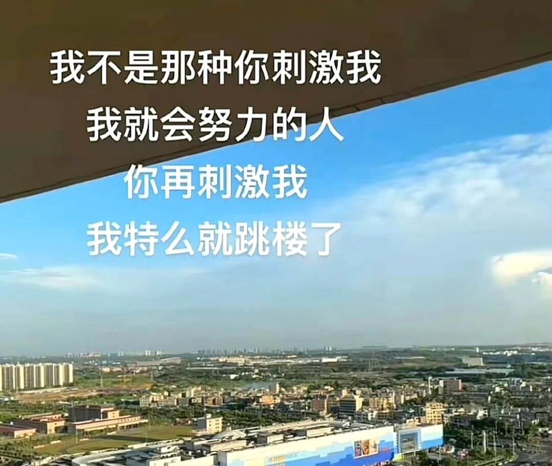 我不是那种你刺激我我就会努力的人你再刺激我我特么就跳楼了