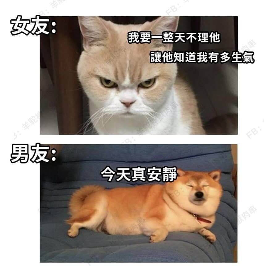 女友：我要一整天不理他他知道我有多生气羊FB:男友：今天真安