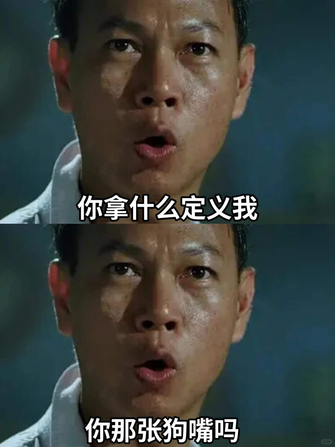 你拿什么定义我你那张狗嘴吗