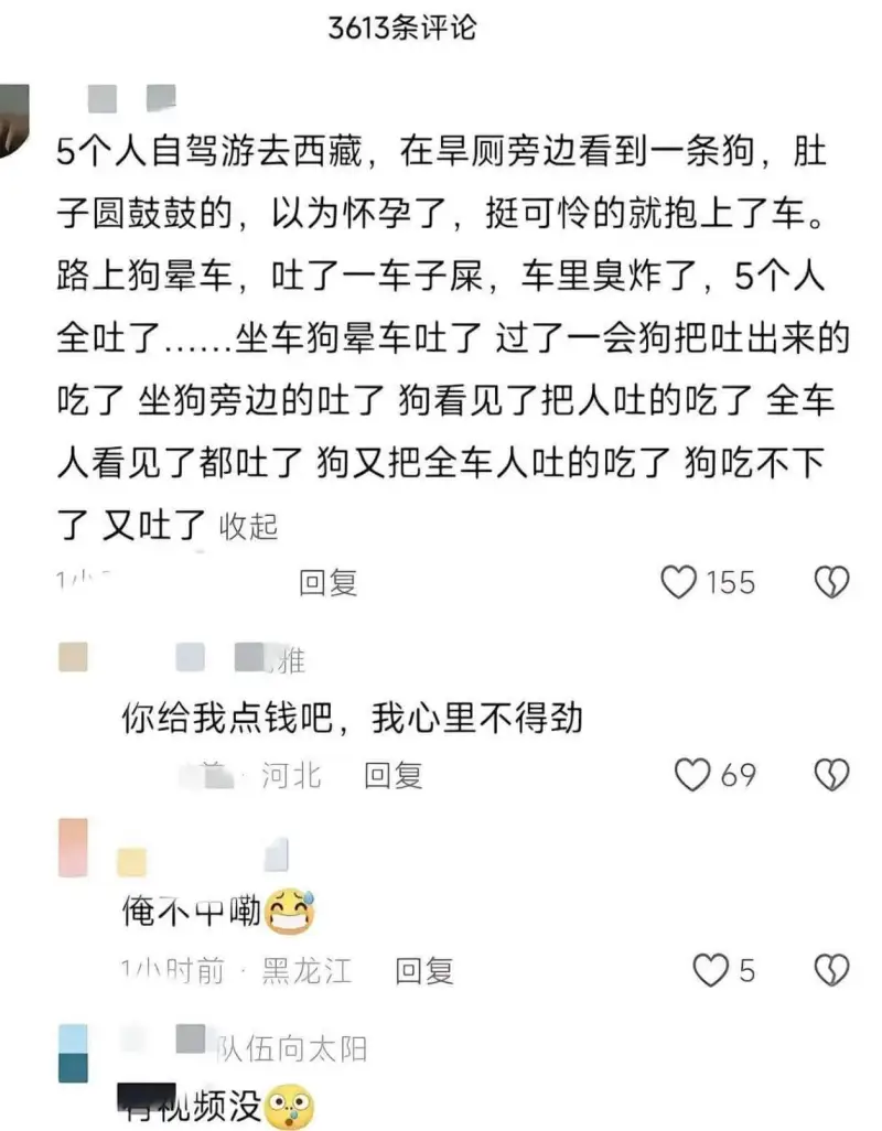 3613条评论5个人自驾游去西藏，在旱厕旁边看到一条狗，肚子