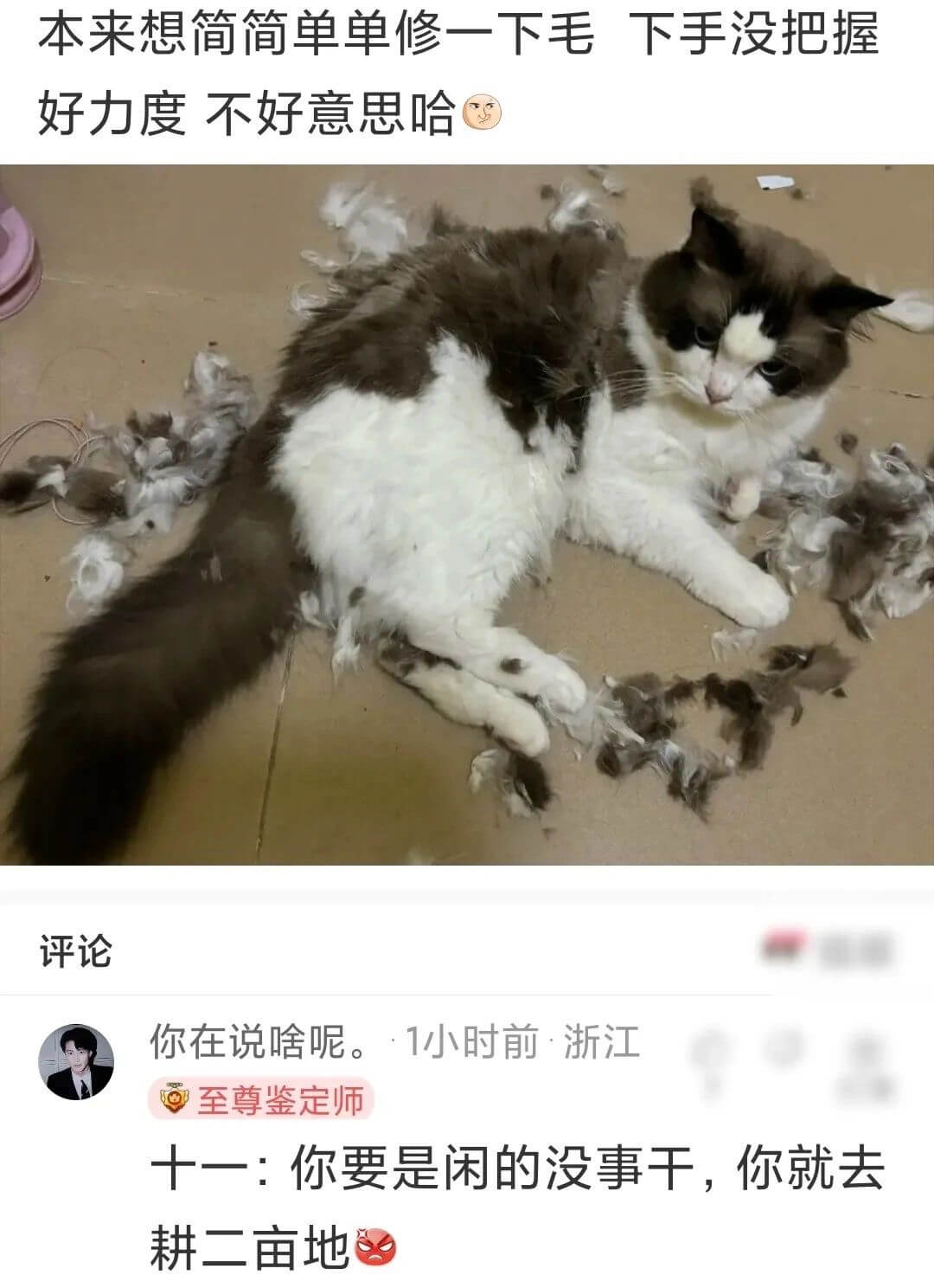 本来想简简单单修一下毛下手没把握好力度不好意思哈评论你在说啥