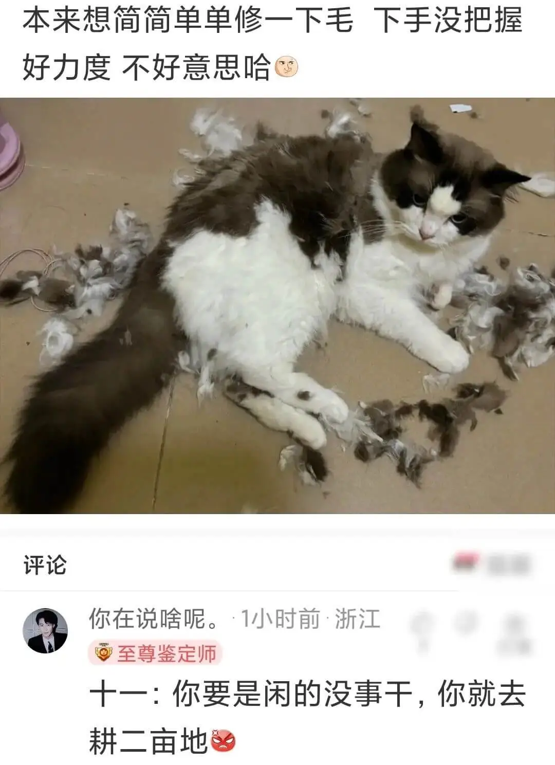本来想简简单单修一下毛下手没把握好力度不好意思哈评论你在说啥