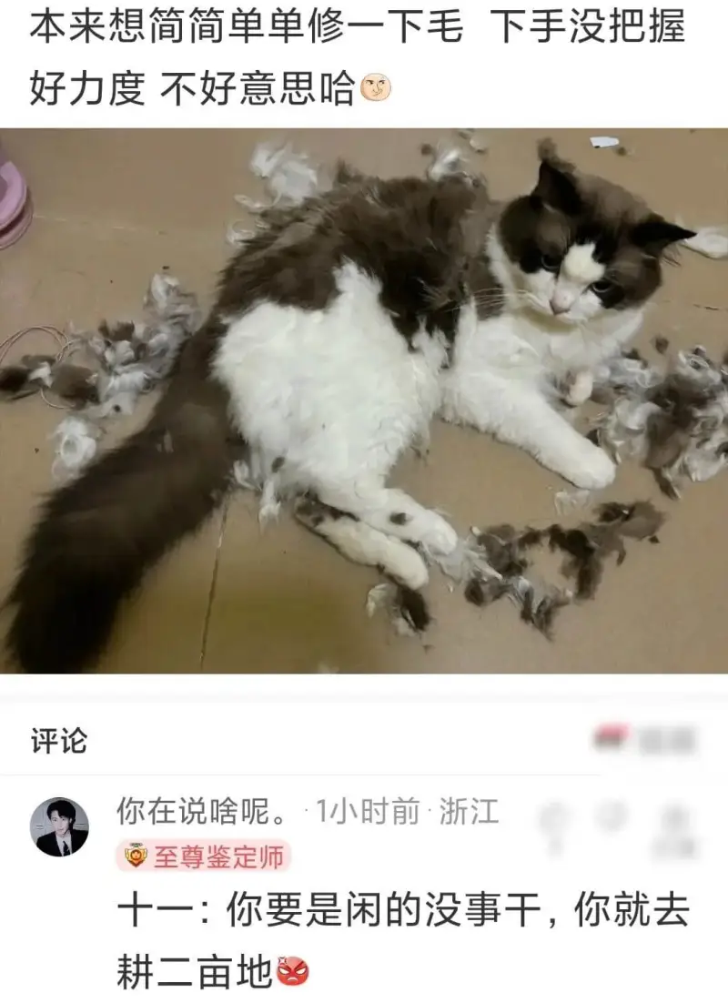 本来想简简单单修一下毛下手没把握好力度不好意思哈评论你在说啥