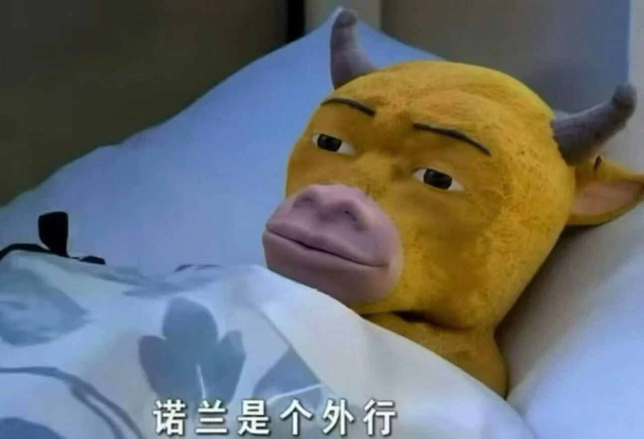 诺兰是个外行