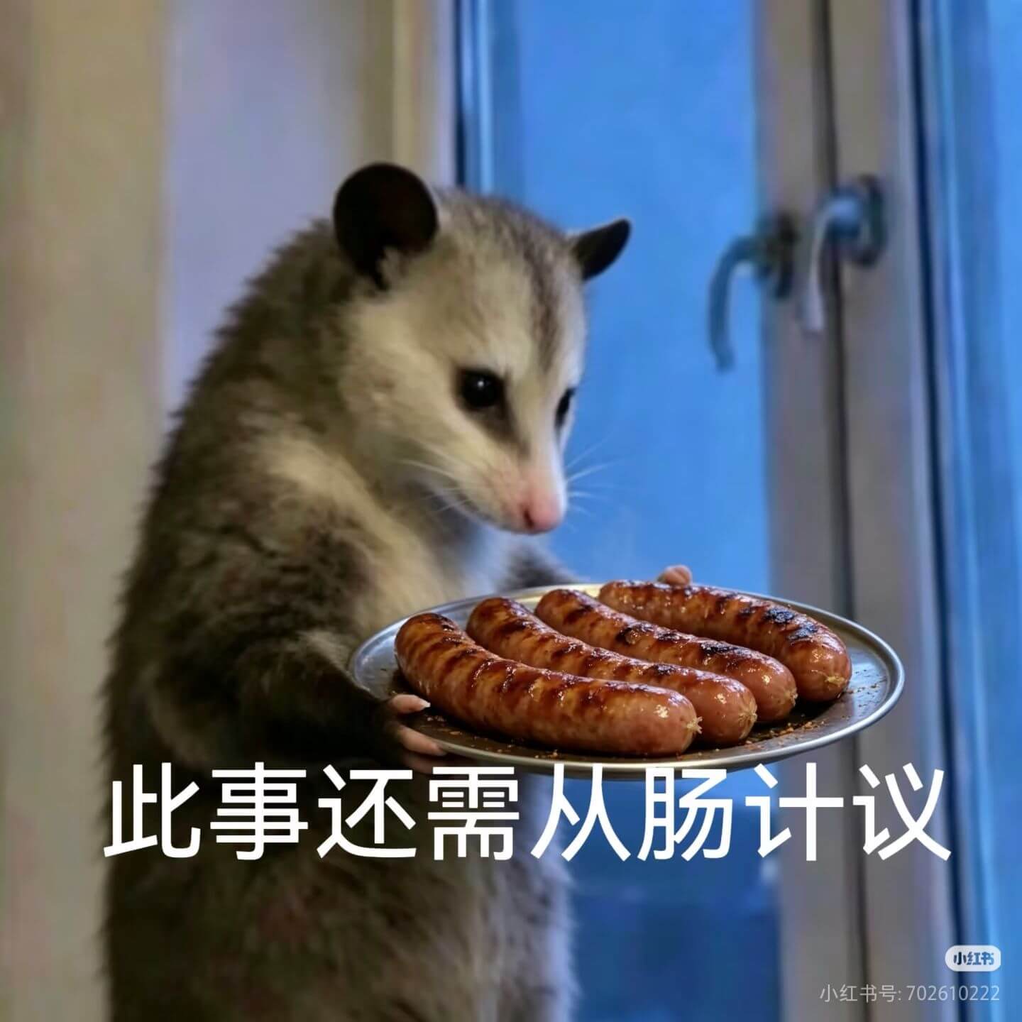 此事还需从长计议小红书小红书号:702610222