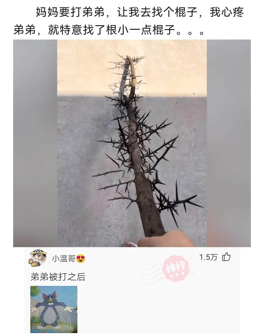 妈妈要打弟弟，让我去找个棍子。我心疼弟弟，就特意找了根小一点