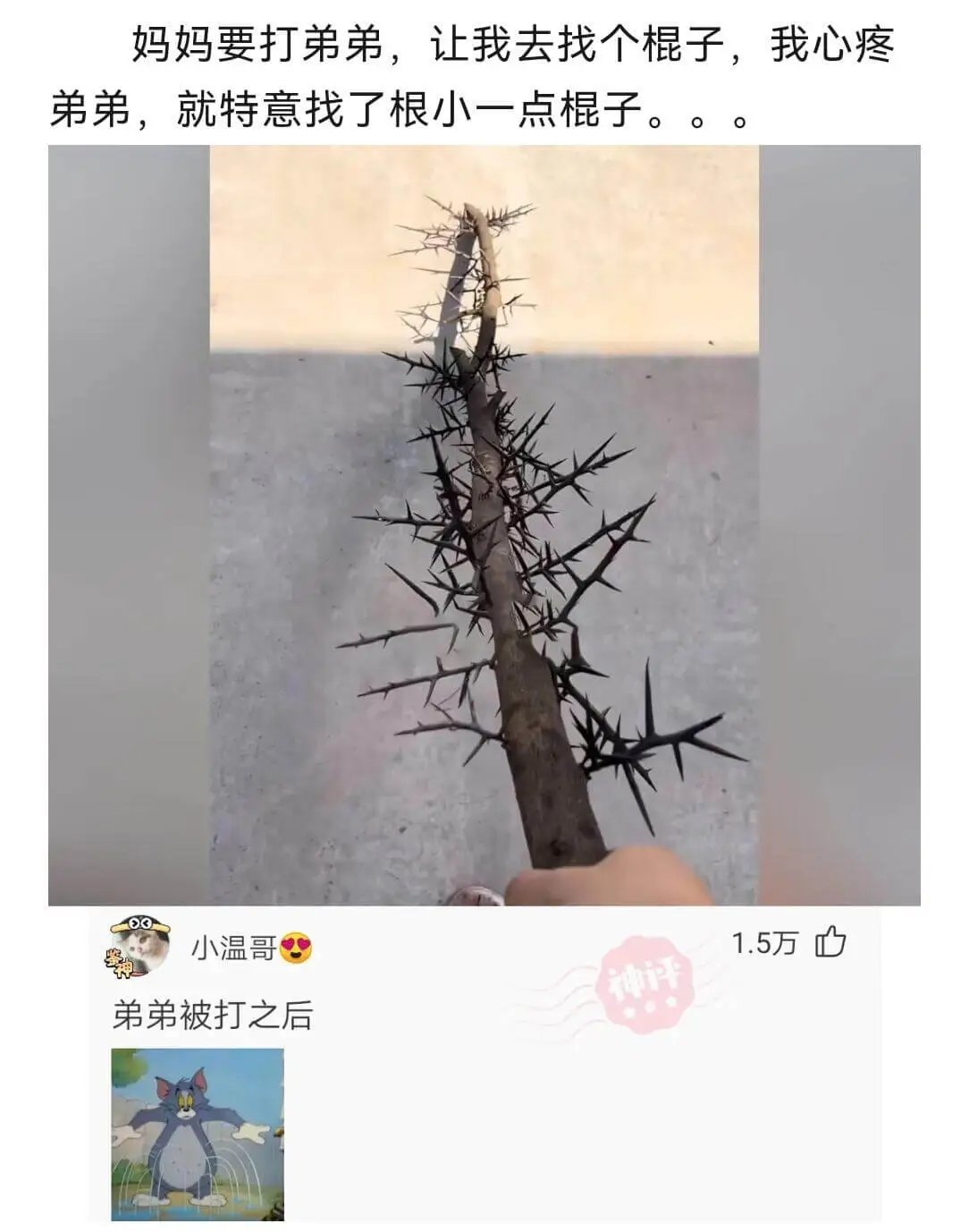 妈妈要打弟弟，让我去找个棍子。我心疼弟弟，就特意找了根小一点