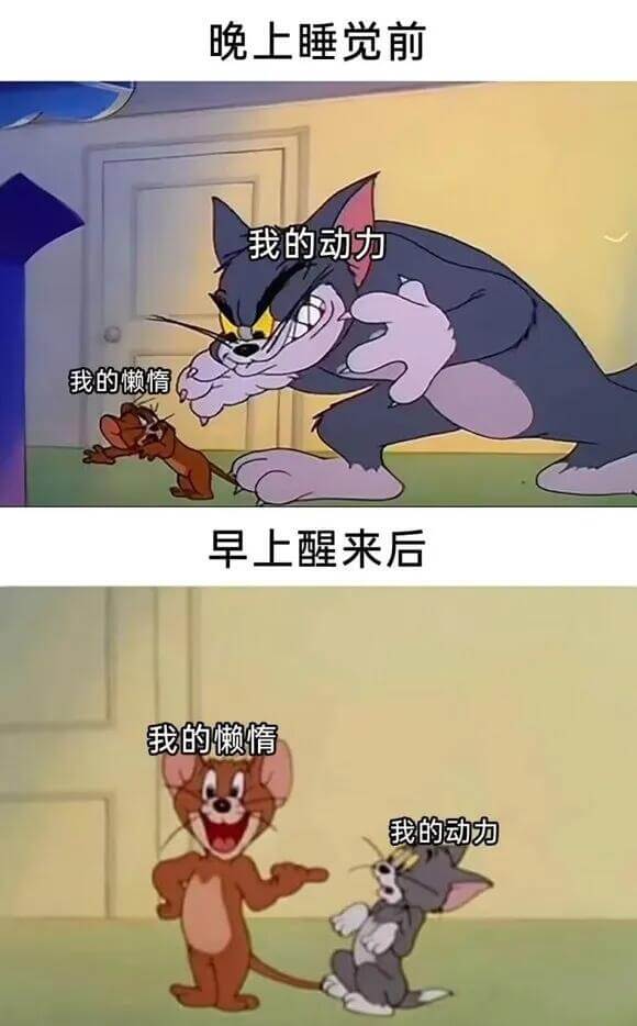 晚上睡觉前我的动力我的懒惰早上醒来后我的懒惰我的动力