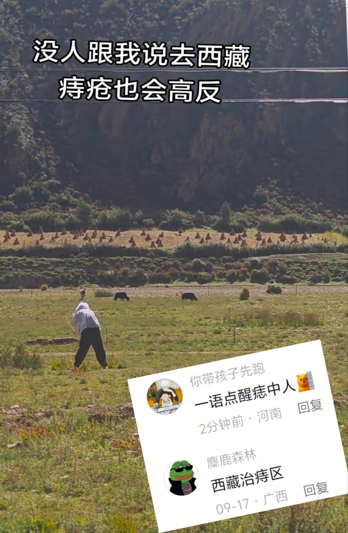 没人跟我说去西藏痔疮也会高反你带孩子先跑一语点醒痣中人回复2