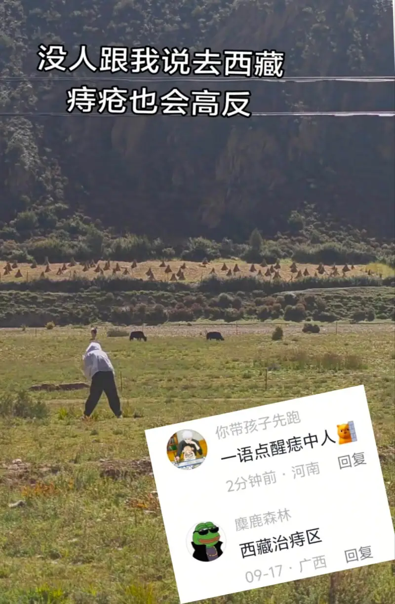 没人跟我说去西藏痔疮也会高反你带孩子先跑一语点醒痣中人回复2