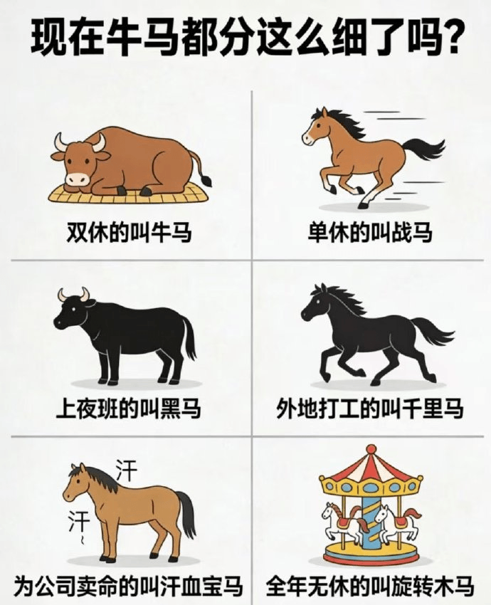 现在牛马都分这么细了吗？双休的叫牛马，单休的叫战马，上夜班的