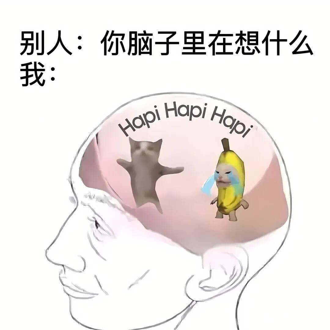别人：你脑子里在想什么我：Hapi
