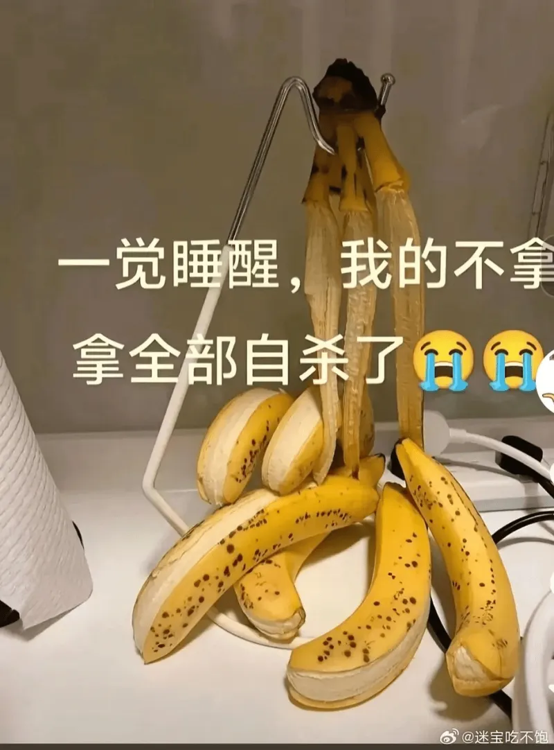 一觉睡醒，我的不拿拿全部自杀了HH@迷宝吃不饱