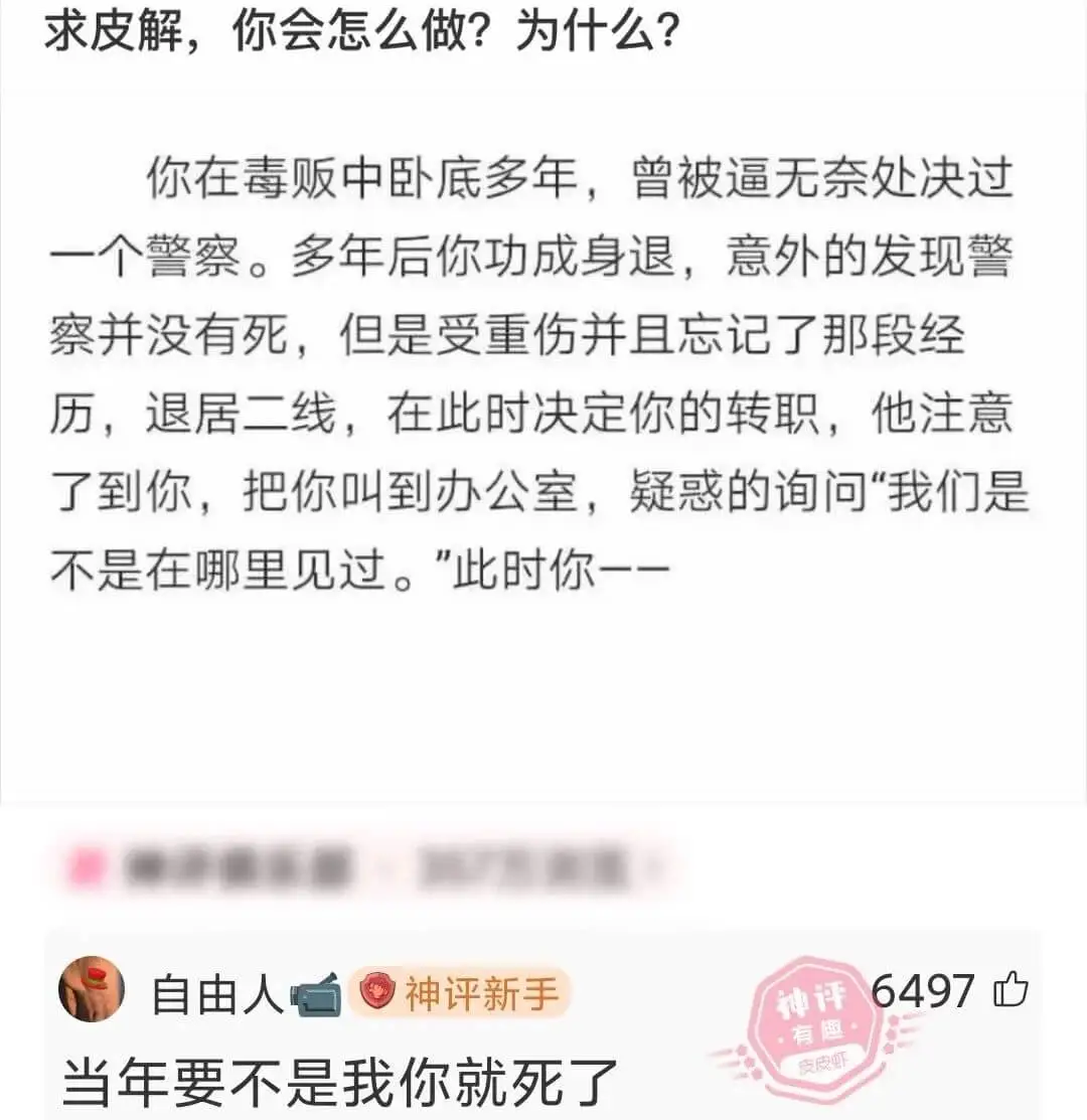 求皮解，你会怎么做？为什么？你在毒贩中卧底多年，曾被逼无奈处