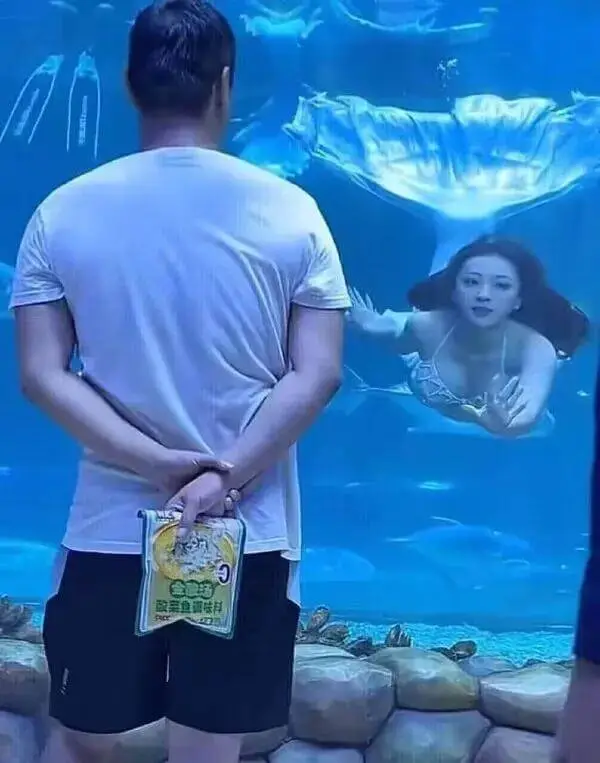 金融汤