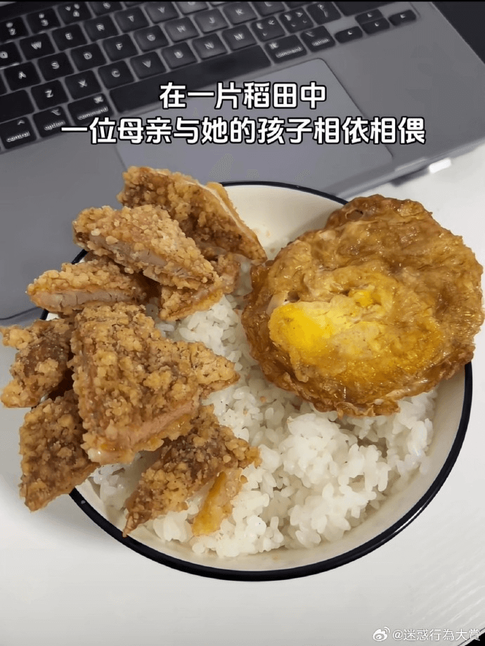 在一片稻田中一位母亲与她的孩子相依相偎@迷惑行为大赏