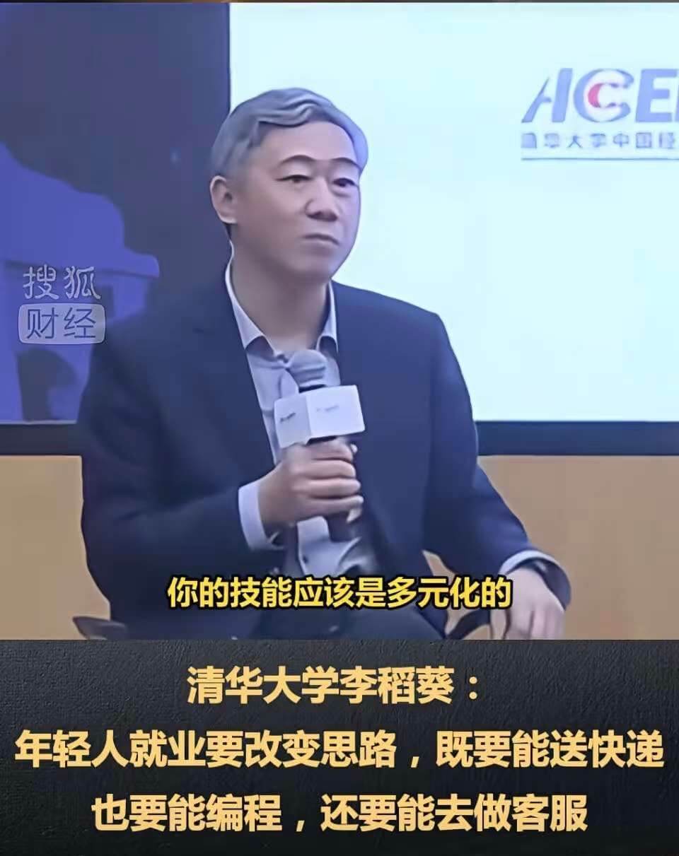 ACE口大中国腔搜狐财经你的技能应该是多元化的清华大学季稻葵