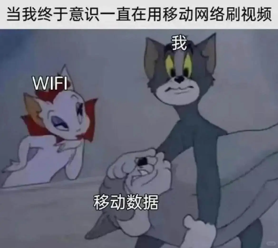 当我终于意识一直在用移动网络刷视频我WIFI移动数据