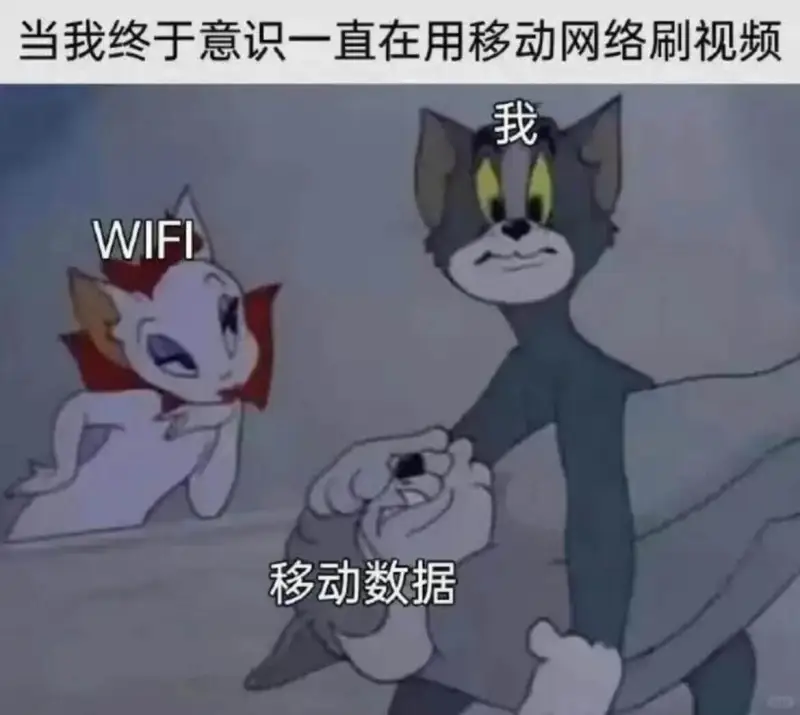 当我终于意识一直在用移动网络刷视频我WIFI移动数据