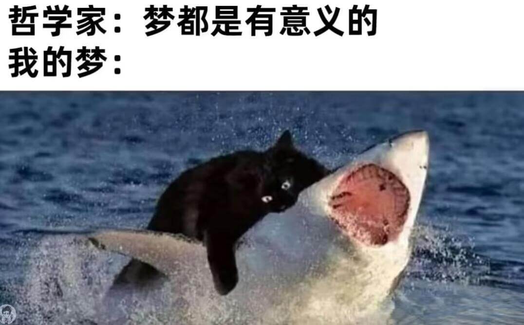 哲学家：梦都是有意义的我的梦：