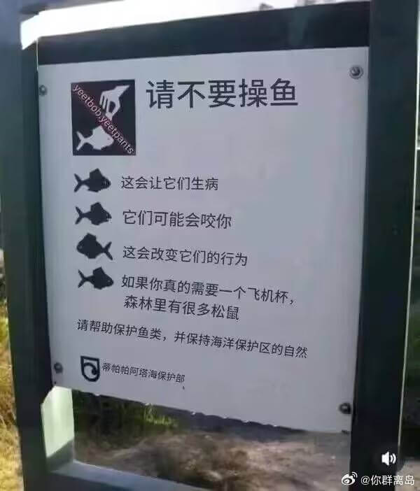 请不要操鱼，这会让它们生病，它们可能会咬你，这会改变它们的行
