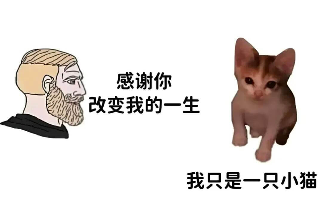 感谢你改变我的一生，我只是一只小猫。