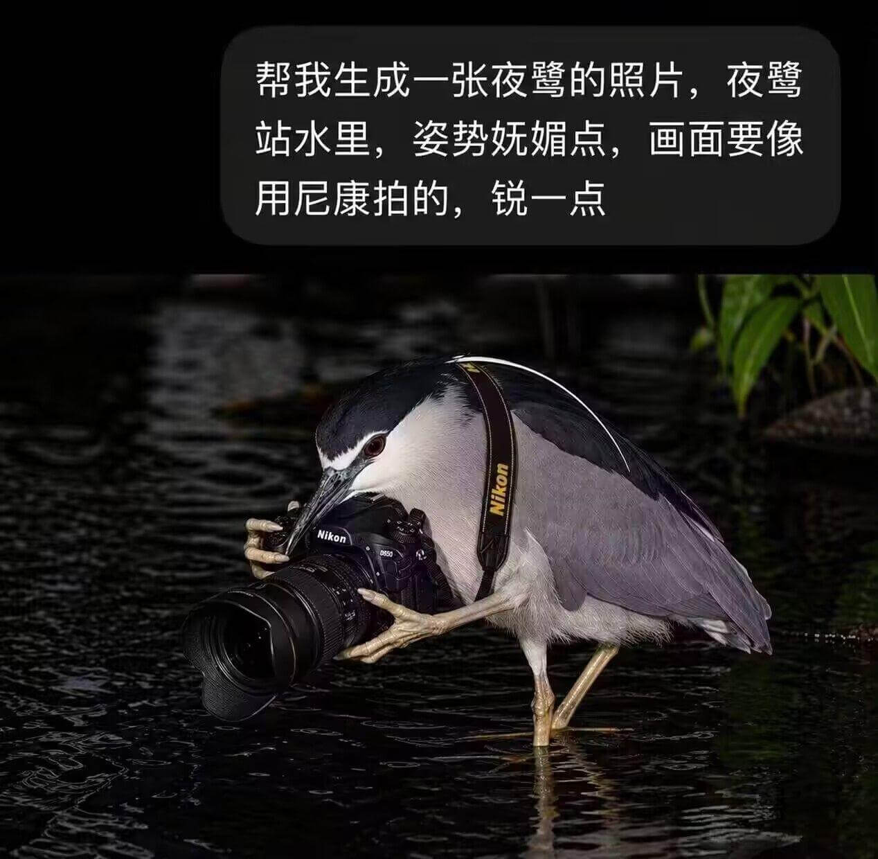 帮我生成一张夜鹭的照片，夜鹭站水里，姿势妩媚点，画面要像用尼