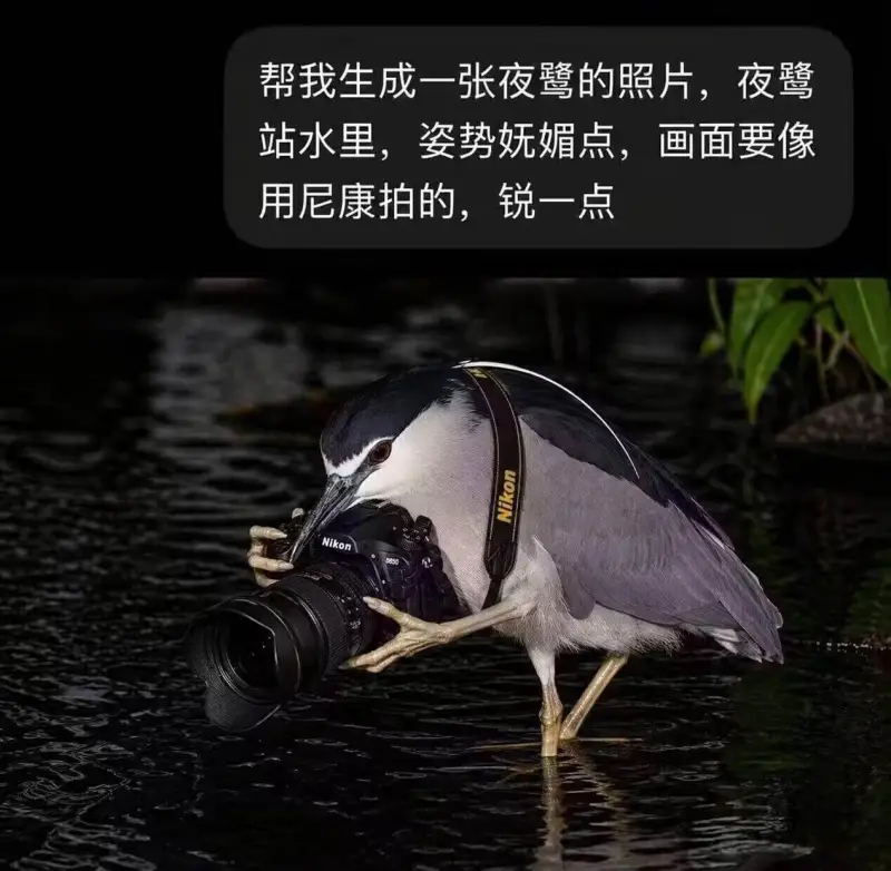 帮我生成一张夜鹭的照片，夜鹭站水里，姿势妩媚点，画面要像用尼