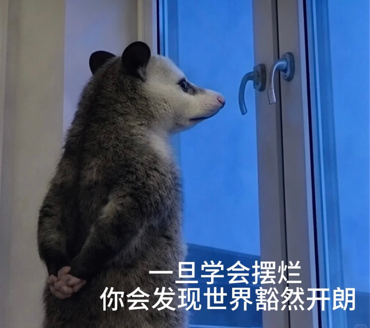 一日学会摆烂，你会发现世界豁然开朗。
