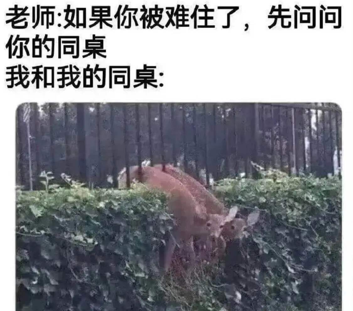老师：如果你被难住了，先问问你的同桌我和我的同桌：