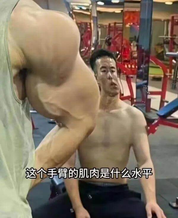 这个手臂的肌肉是什么水平