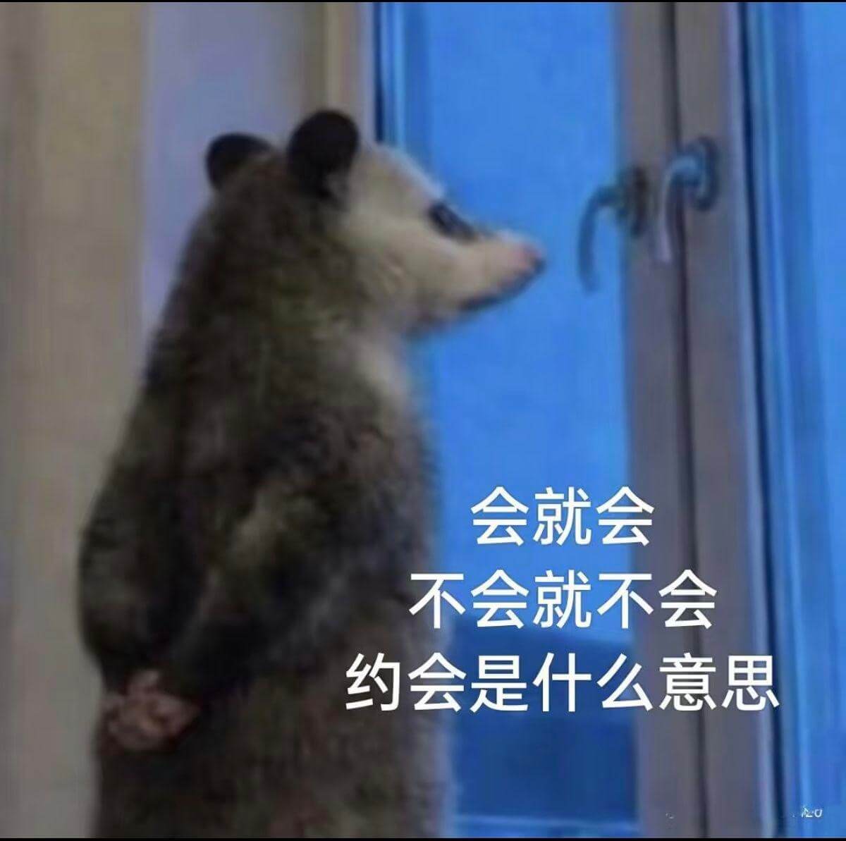 会就会，不会就不会。约会是什么意思？