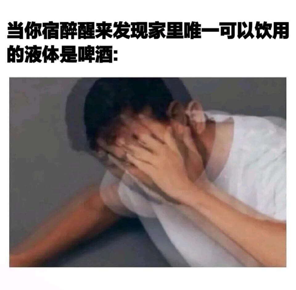 当你宿醉醒来，发现家里唯一可以饮用的液体是啤酒：