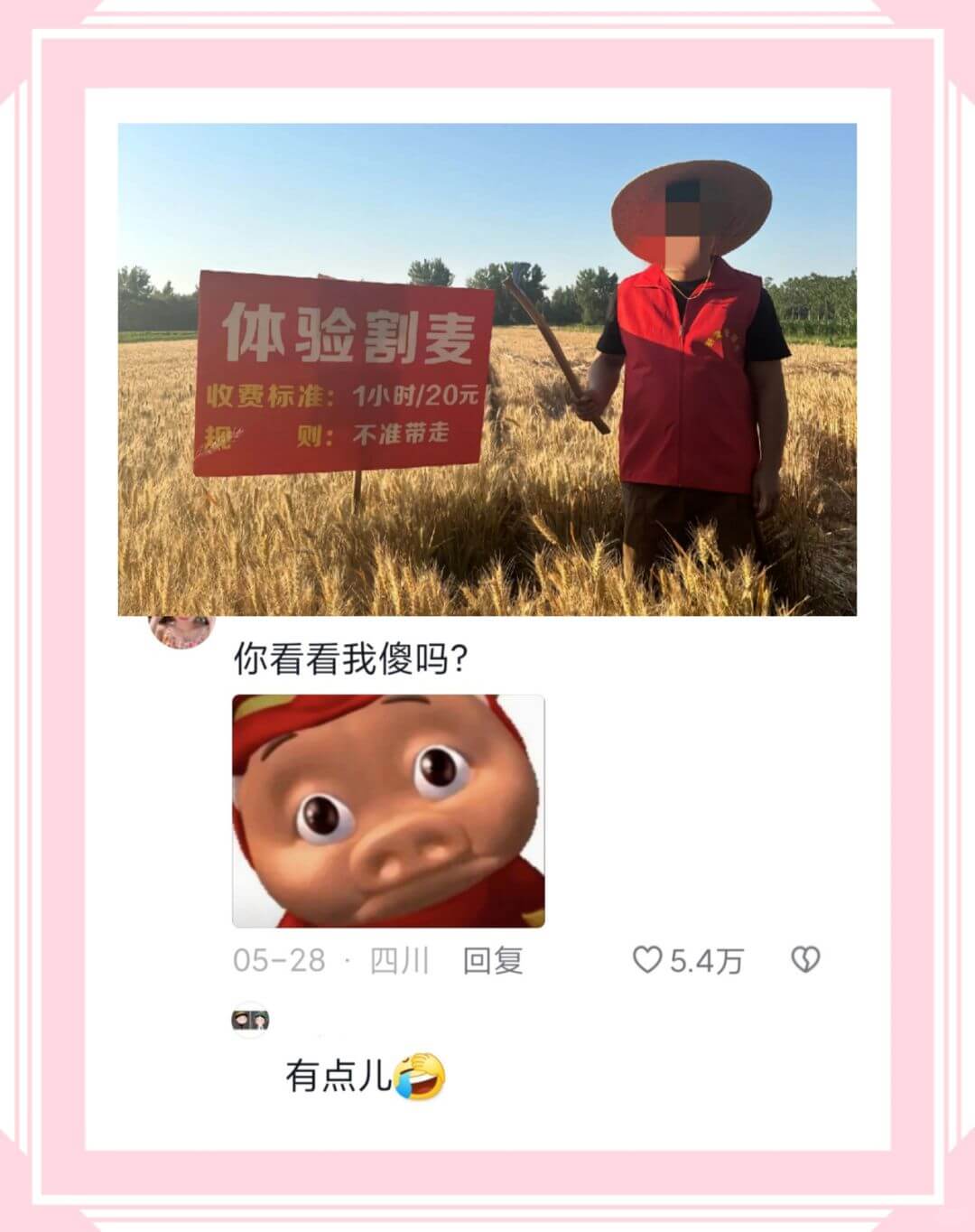 体验割麦收费标准:1小时/20元规则:不准带走你看看我傻吗?